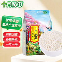 十月稻田 SHI YUE DAO TIAN 英雄传 糯米 1kg