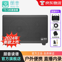 朋音 PENG YIN T5S电吹管音箱萨克斯乐器直播内录便携式专业户外K歌演唱音响 T5-S乐器音箱（黑色）+音箱包