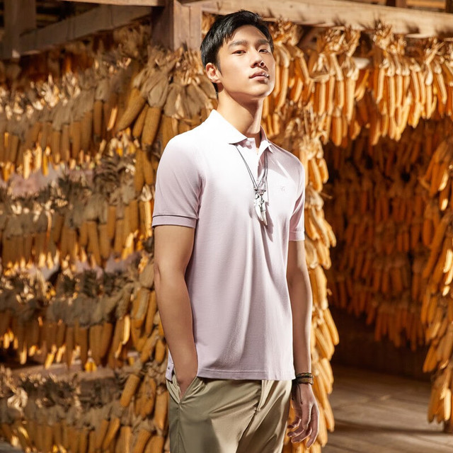 PLUS会员：雅戈尔 短袖POLO衫 粉色 2XL