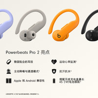 Beats Powerbeats Pro 2 入耳式真无线主动降噪蓝牙耳机 流沙色