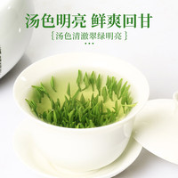 川红2025新茶 特级绿茶雀舌茶叶 四川特产明前高山云雾新茶 2025新茶雀舌 50g*1罐