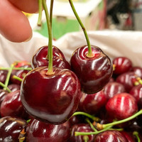 吧唧果车厘子智利进口大樱桃应季水果JD闪送多地次日达高端送礼孕妇水果 4.5斤(净重) 礼盒4J级12-15g