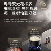 苏泊尔燃气灶双灶5.2KW大火力可调节底盘双灶头九腔鸳鸯灶台PB33