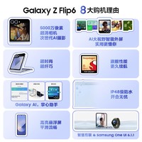 三星 SAMSUNG Galaxy Z Flip6折叠屏手机大电池大视野智能外屏AI摄影双卡5G