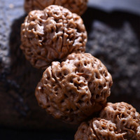 盘道金刚菩提手串尼泊尔五瓣梅花桩双龙纹大金刚菩提手串5瓣爆肉菩提 5瓣蜂王金刚17-18mm