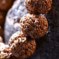 盘道金刚菩提手串尼泊尔五瓣梅花桩双龙纹大金刚菩提手串5瓣爆肉菩提 5瓣蜂王金刚21-22mm