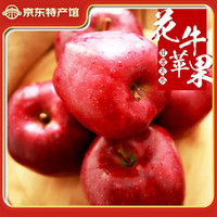 馋半仙 甘肃天水花牛粉面苹果 时令沙甜婴儿刮泥老人新鲜水 带箱5斤10-14枚（75-80mm果）