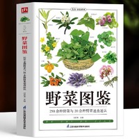 《野菜图鉴》