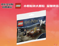 乐高 LEGO 哈利波特与海德薇系列 30420 猫头鹰快递