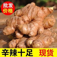 百农之舟 云南小黄姜生姜新鲜现挖嫩姜仔姜老姜应季新鲜蔬菜