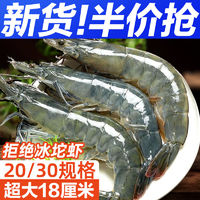 百亿补贴：东上御品 气冻虾青岛大虾无冰新鲜特大号液氮气海虾基围虾一箱白虾