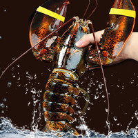 缤鲜 澳洲波士顿龙虾熟冻大波龙净重/只海鲜水产年货源头直发