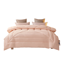 安睡宝（SOMERELLE） 被子  母婴A类七孔被抗菌冬被春秋被褥被芯