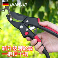 艾文礼 EVANLEY 德国剪树枝剪刀果树修剪花剪刀神器粗枝树木园林工具园艺专用剪 SK5钢特氟龙修枝剪