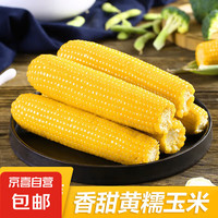 东北黄糯玉米杂粮苞米东北黏玉米棒粗粮代餐220g大棒 黄糯玉米220g