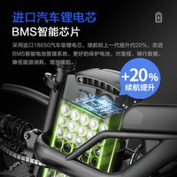 凤凰（Phoenix）折叠电动自行车新国标代驾电动车超长续航电瓶车成人便捷锂电池代步电单车 顶配版-13减震-电芯10A助力150km