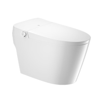 大白厦门diiib智能马桶感应翻盖无水压限制带水箱座便器X6 305坑距