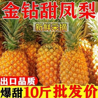 洽鲜果 海南金钻凤梨整箱新鲜水果10斤水果树上熟非香水菠萝特大无眼包邮