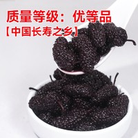 权焠帮桑葚果酱1.2kg 果肉酱奶茶店专用商用烘焙刨冰果茸原料冰粉