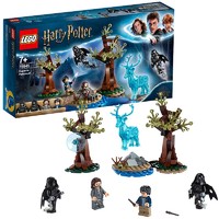 乐高（LEGO）Harry Potter TM 哈利·波特系列 拼插积木儿童玩具 疾疾护法现身75945