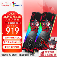 威刚 XPG 龙耀LANCER ddr5内存条 海力士A-die颗粒 RO姬联名灯条内存 ROG RO姬联名 6000 32G套 CL36