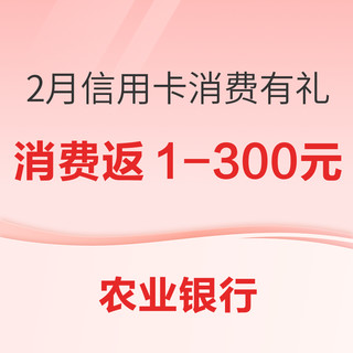 农业银行 信用卡消费有礼（2月）