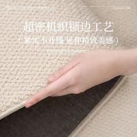 AOVOC奶油风防水抑菌地毯客厅卧室素色高级简约茶香清茶色 300*400cm 茶香-清茶色
