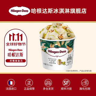 哈根达斯 Häagen·Dazs 开心果奶霜巧克力冰淇淋100ml （四种口味任选）