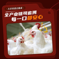 锋味派奥尔良烤翅嘟嘟翅风味鸡翅对翅油炸腌制半成品鸡翅根  口感柔嫩