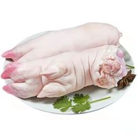 知尝新鲜速冻带筋整个猪蹄每只200g-250g 新鲜猪蹄 6只装