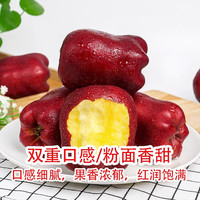 月宵天水花牛苹果整箱新鲜水果当季水果儿童水果红果粉面苹果 3斤 特大果【80-85mm】