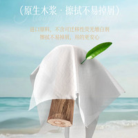 植护大大卷气垫卫生纸 家用卷筒纸 厕纸巾 悬挂式中芯抽取大盘纸 5层 300节*2卷 (送挂钩)