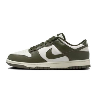 百亿补贴：NIKE 耐克 男DUNK LOW RETRO运动休闲鞋板鞋HF5441-102