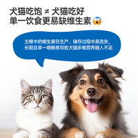 【会员1元抢】RedDog红狗淘贝健猫咪复合维生素10片