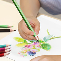 【全网低价，真得阅 12色彩铅笔 原木六角杆彩色铅笔 绘画涂色画笔画具画材美术套装 开学 SD7092毕业