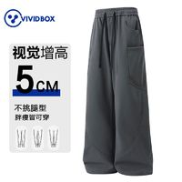 百亿补贴：VIVID BOX 集团VIVID BOX春秋款直筒宽松休闲裤工装裤男新款潮牌垂感阔腿裤