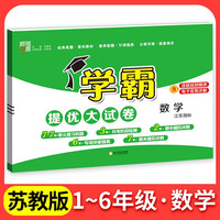 《25春五星小学学霸提优大试卷》