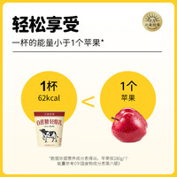 北海牧场0蔗糖宝石碗酸奶轻酪乳酸奶和经典原味低温酸奶组合  特浓4草莓4轻酪乳3经典原味3