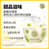 北海牧场0蔗糖宝石碗酸奶轻酪乳酸奶和经典原味低温酸奶组合  白葡萄4特浓4轻酪乳3经典原味3