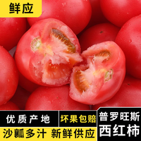 移动端、京东百亿补贴：鲜应 普罗旺斯西红柿沙瓤西红柿新鲜现摘山东生吃番茄农家自种应季整箱 优选净重4.5斤50g+
