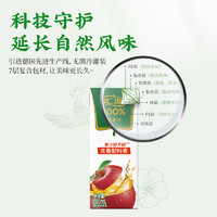 汇源 百分百纯苹果汁 200ml*12盒