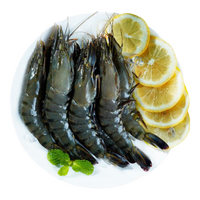 良德源国产活冻黑虎虾净重斑节虾速冻特大老虎虾对虾大虾鲜虾海虾