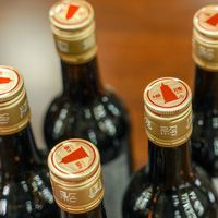 塔牌黄酒醇郁花雕酒半甜型500ml*6瓶整箱礼盒装手工冬酿黄酒