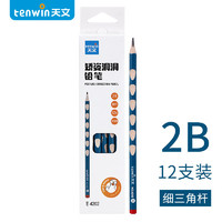 天文 TEN-WIN）学生文具洞洞铅笔2B儿童三角形铅笔小学生用12支/盒装4202