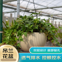 绿园匠 吊兰花盆懒人自动吸水仿藤编厚塑料悬挂阳台绿萝带链条种植垂吊盆