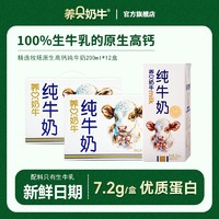 养只奶牛纯牛奶4箱3.6g蛋白高钙整箱早餐全脂牛奶