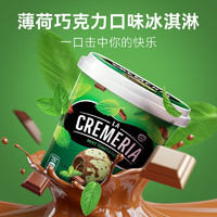雀巢（Nestle）薄荷巧克力冰淇淋桶750ml 大桶冰淇淋