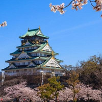 含往返含税机票+全程酒店！覆盖大阪世博会！上海直飞日本大阪高松佐贺札幌5-6天自由行