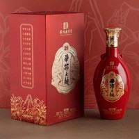 迈特恩 MAI TE EN 贵州毕节大曲20浓香型52度白酒500ml