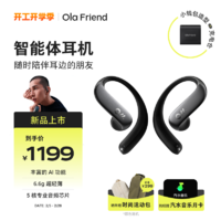 Ola Friend 智能体耳机 蝶翼黑 小钱包充电仓